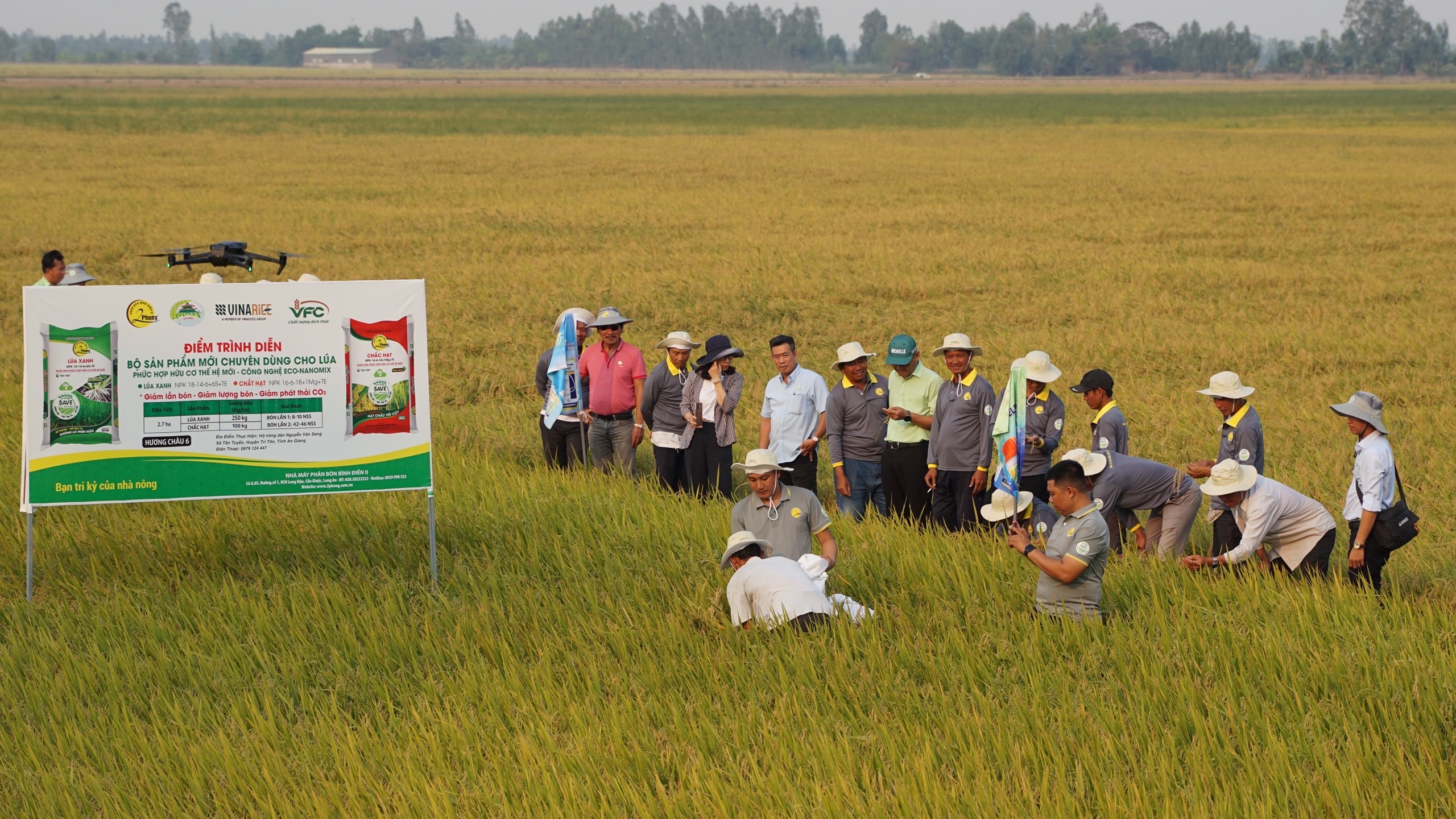 Một trong những nội dung quan trọng là xây dựng các mô hình trình diễn về chuyên canh lúa chất lượng cao và phát thải thấp gắn với tăng trưởng xanh cấp tỉnh và cấp huyện làm cơ sở cấp tín chỉ cac-bon.